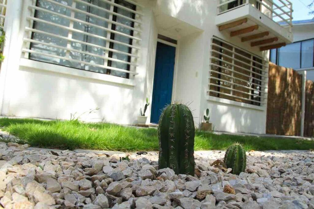 Casa Buda Liberia Cerca Del Aeropuerto 외부 사진